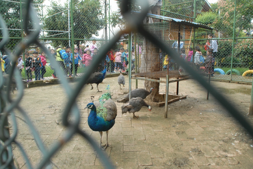 1508221717139134.jpg 3.JPG